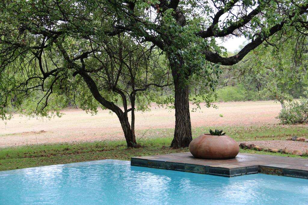 Photo taken from the pool patio towards the golf course.