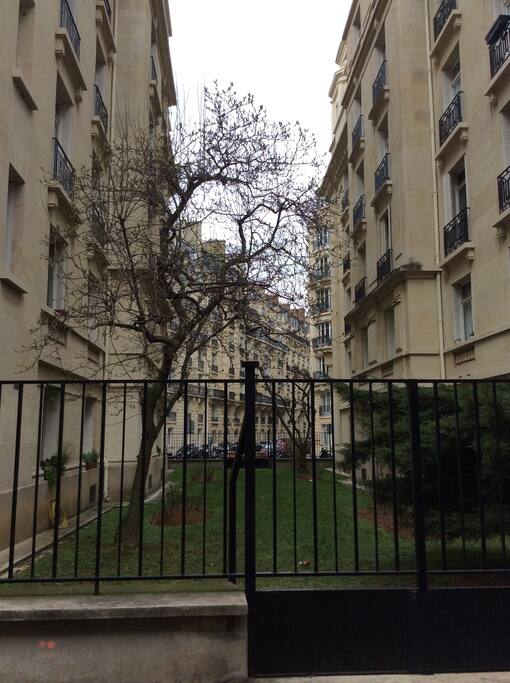 Le jardin de l'immeuble