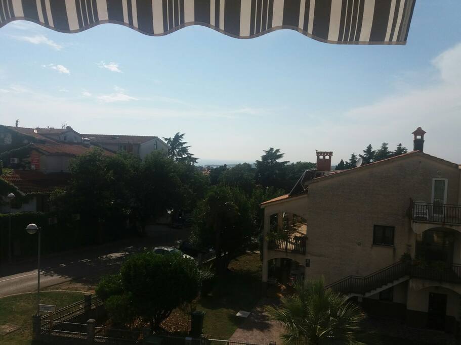 view from the terace