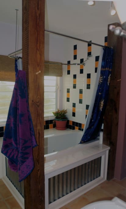 Master Bed Room Bath Private Bath and Jet Tub