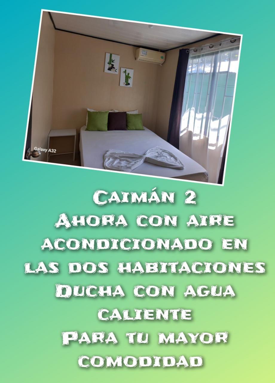 A well-lit bedroom features a spacious bed adorned with soft linens. Bright green accents complement the warm walls, while large windows allow natural light to fill the room. Room includes air conditioning, enhancing comfort during stays.