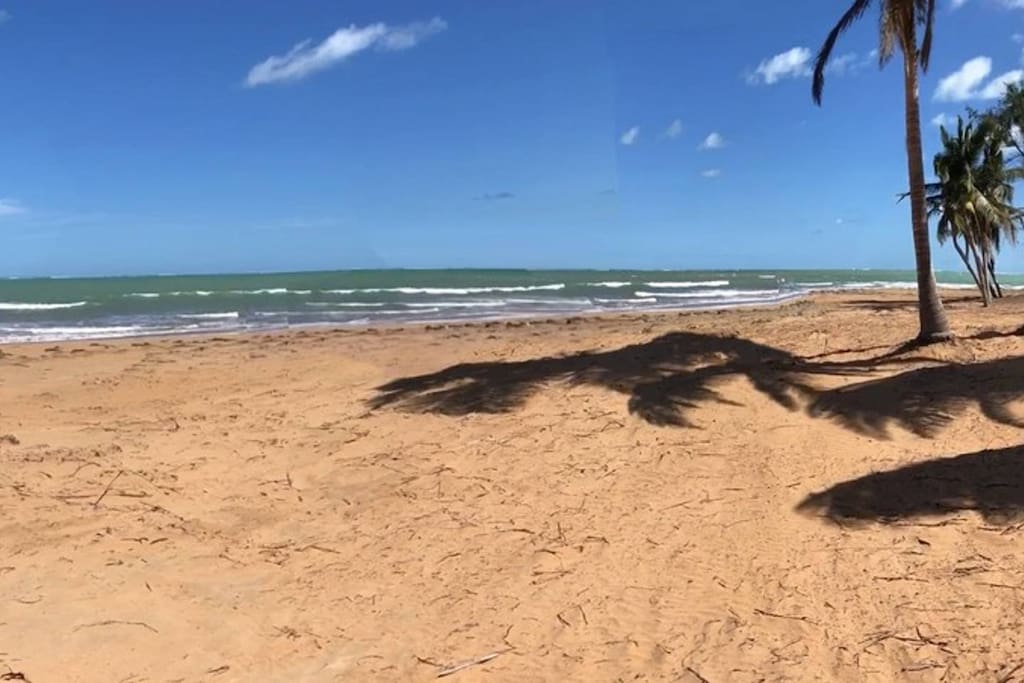 Wake up, grab your coffee and head to the beach: Playas del Yunque style breakfast!