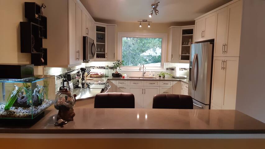 Peace&quiet in 3 bdrm guesthouse on park like lot. gallery image 2