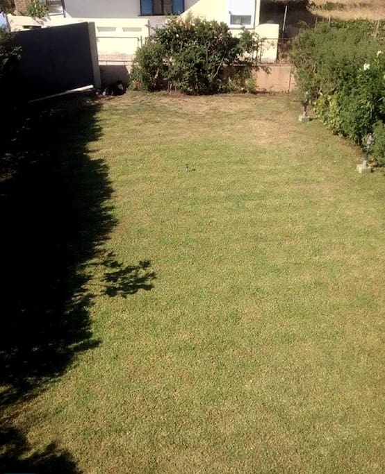 The Garden from the balcony