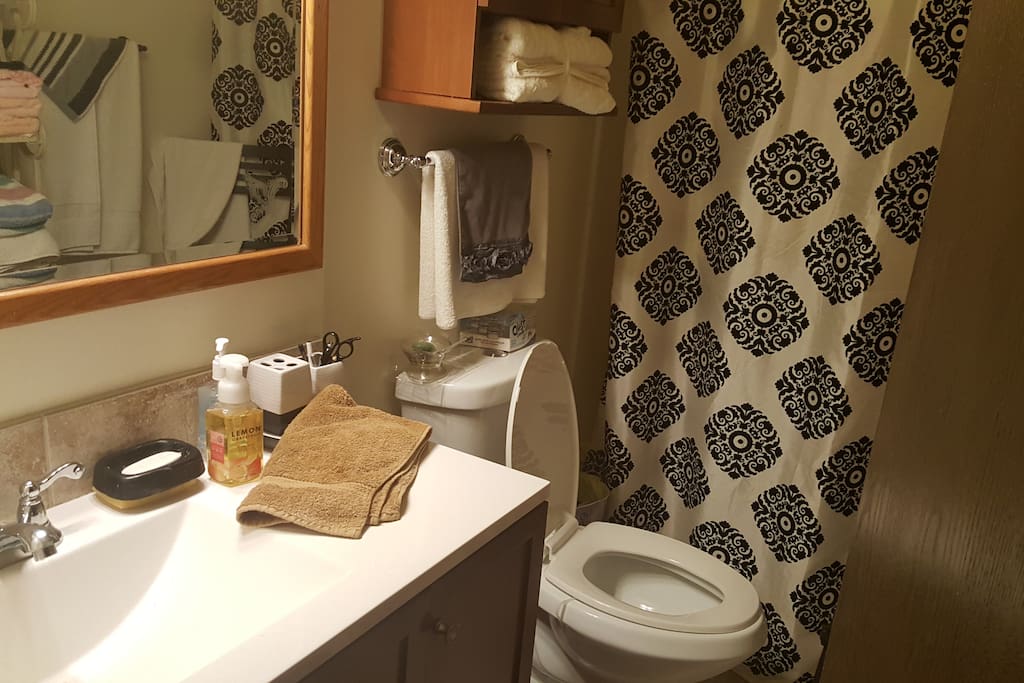 Guest bathroom with updated fixtures. Towels and toiletries will be provided.