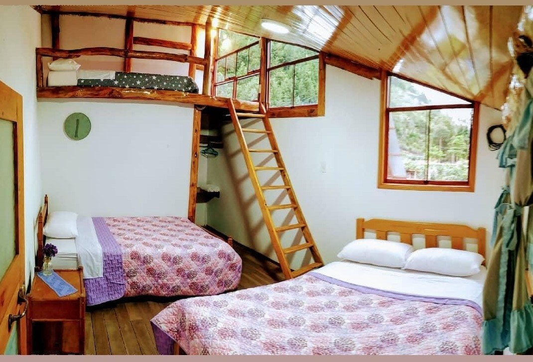 A well-lit room features two spacious beds, one situated on a lofted platform reached by a wooden ladder. Large windows allow natural light to fill the space while offering views of the surrounding greenery. Wooden accents and a simple clock add to the inviting atmosphere.