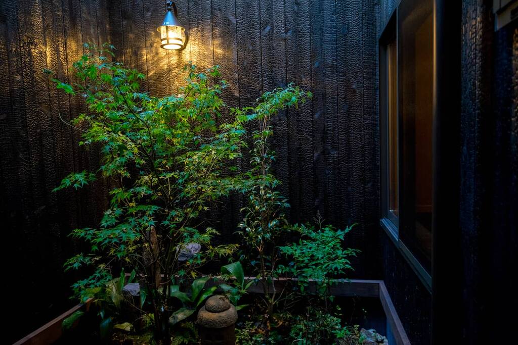 枯山水庭院 (the backyard)
