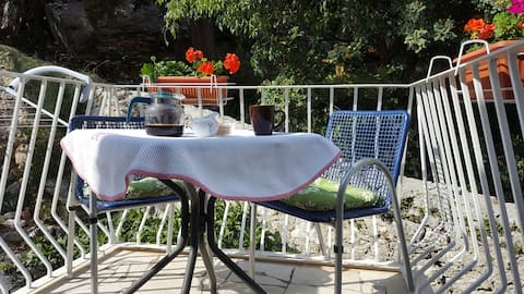 Apartment Bianki - small and sweet home