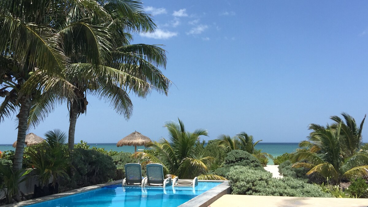 A tranquil swimming pool is framed by palm trees, offering views of the ocean in the background. A shaded area with thatched umbrellas is visible, blending seamlessly with the surrounding lush greenery under a clear blue sky.