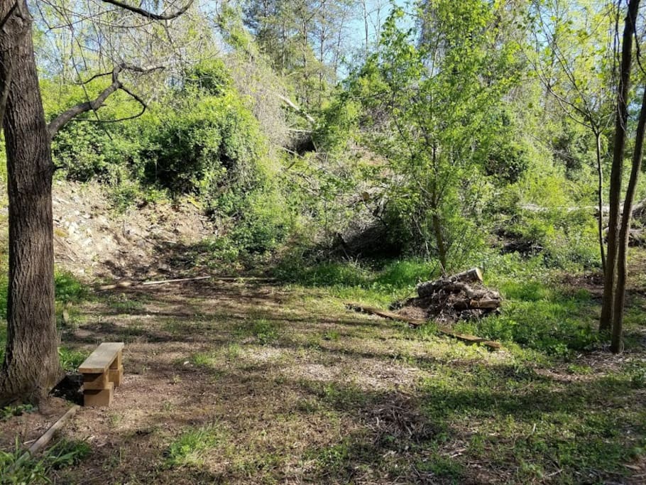 A nice clearing for your tent