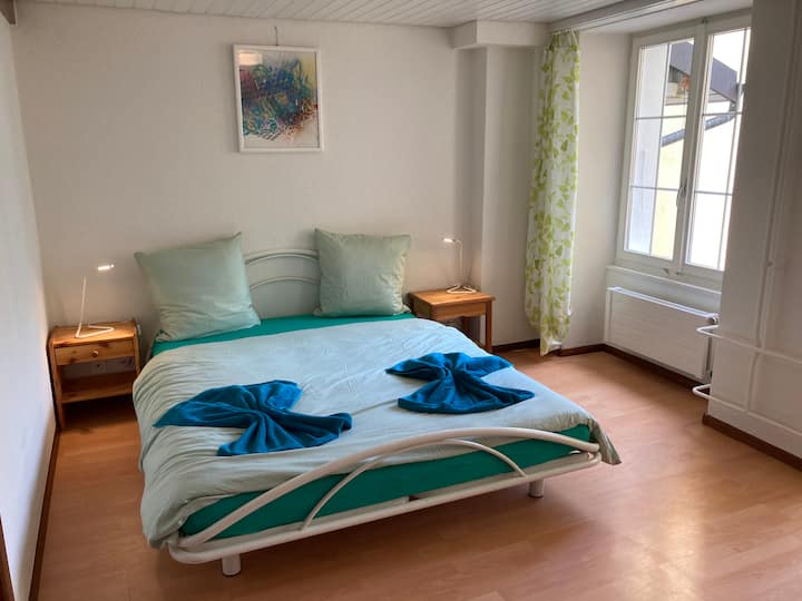 Lausanne Vacation Rentals & Homes Vaud, Switzerland Airbnb