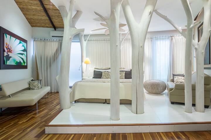 Awesome Luxury and Art Villa - Tamarindo