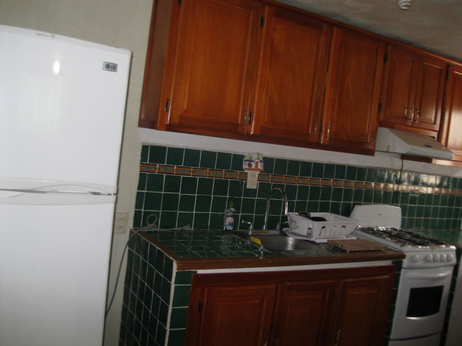 refrigerador, microondas, estufa, licuadora, platos, vasos, cubiertos, ollas para cocinar. elementos básicos