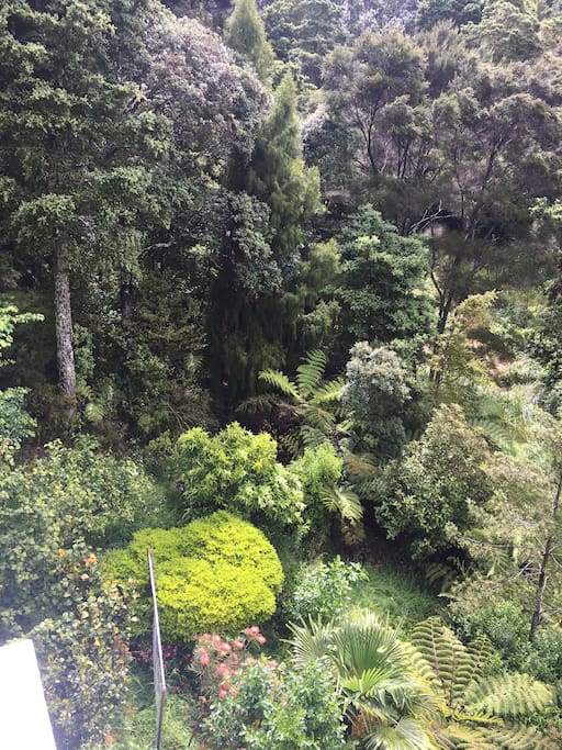 we are up a private driveway on 2400 sq metres of native bush