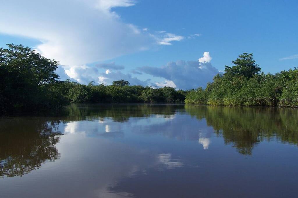 The view in front of the house. / La vista apenas sales de la casa.