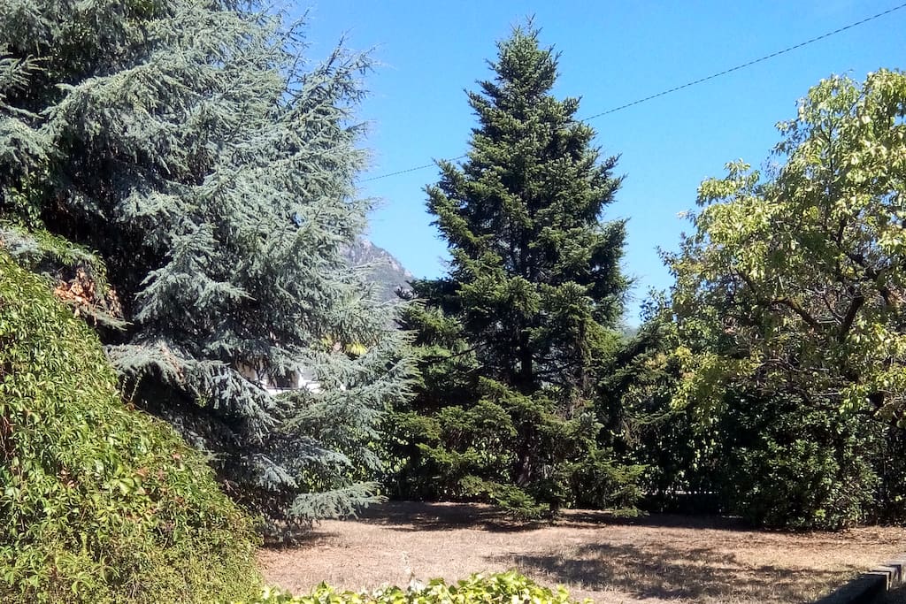 GIARDINO PRIVATO