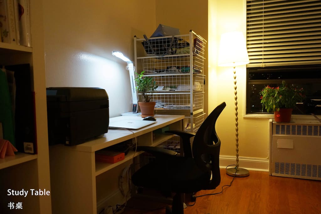 Laptop work station.