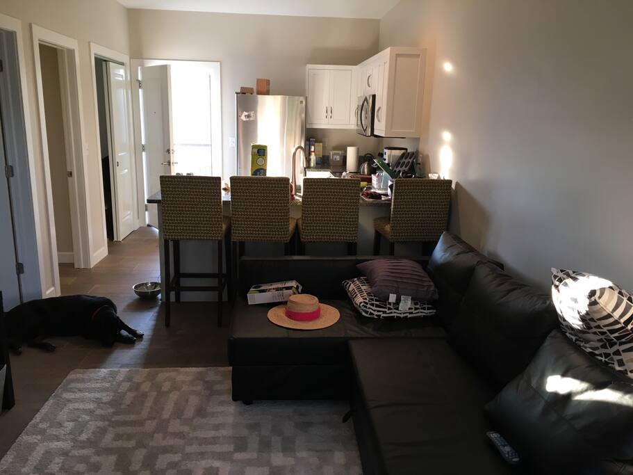 Living Room & Kitchen