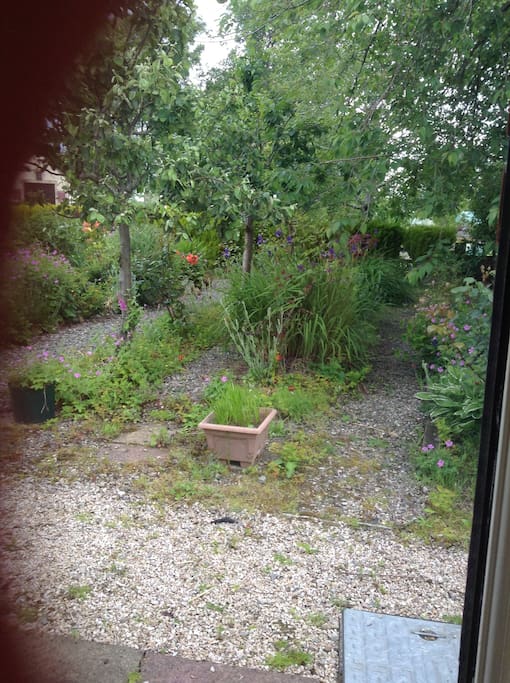 View back garden