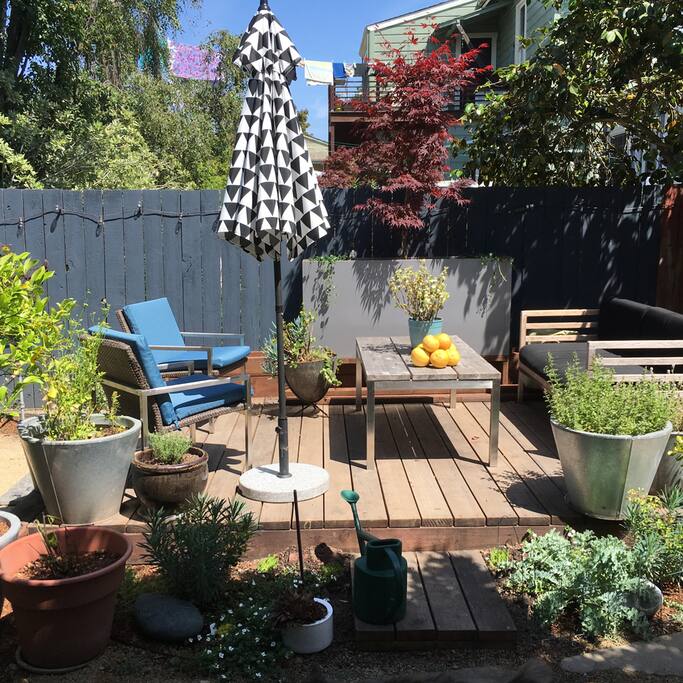 Sunny backyard