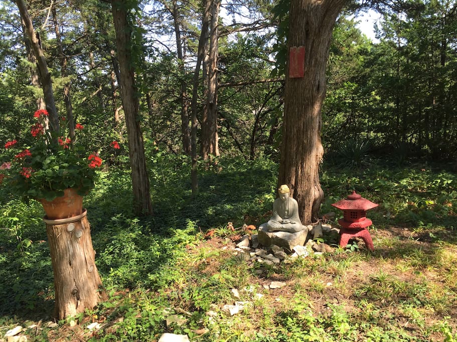 Serenity corner retreat in our garden.