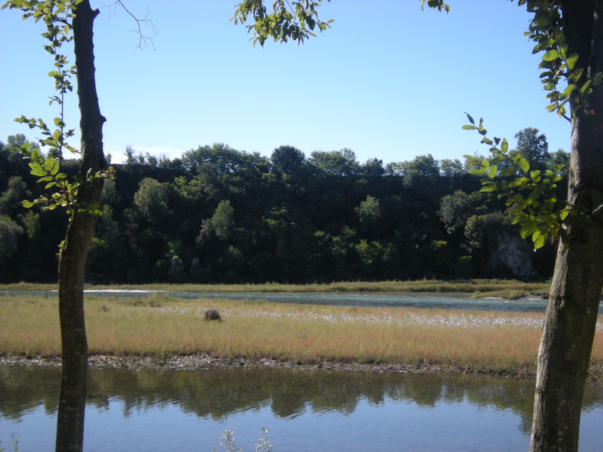 A serene landscape illustrates a calm river bordered by lush greenery. Tall trees frame the scene, while the water reflects the clear blue sky. Grassy areas beside the river offer a gentle contrast, enhancing the tranquil setting surrounded by nature.
