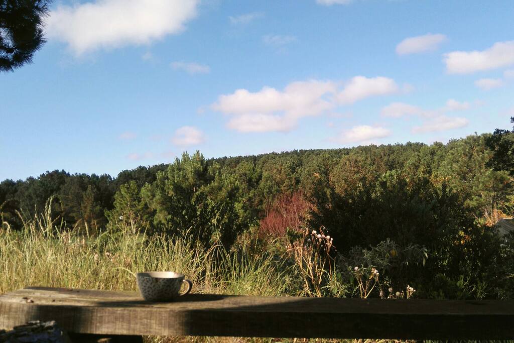 Vistas desde el balcón de la casa árbol