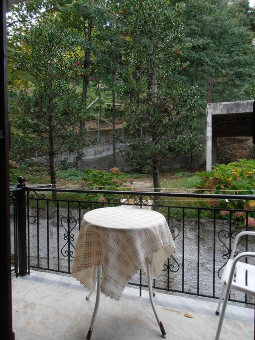 back balcony with forest view