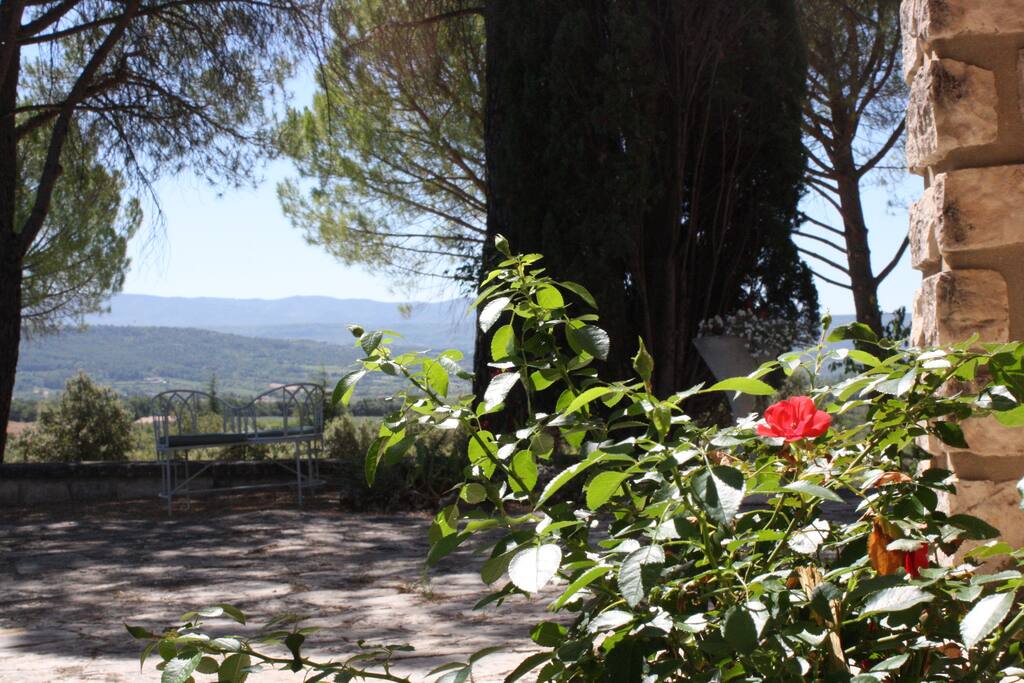 View from the terrace