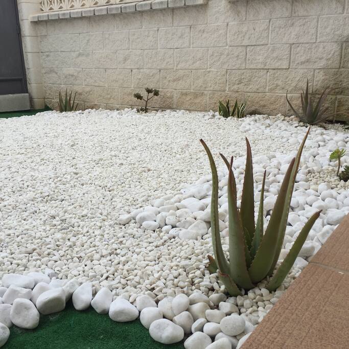Jardín con Aloe