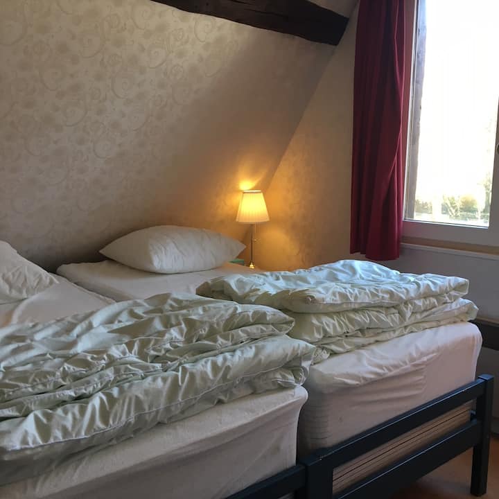 Room 2 - two beds