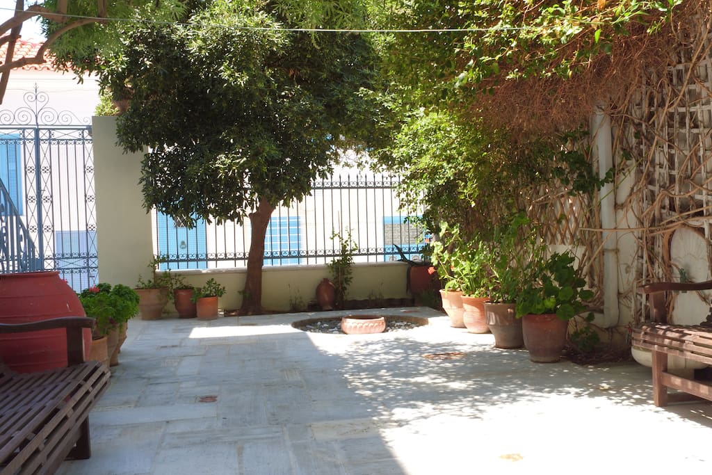 View of the patio from the kitchen