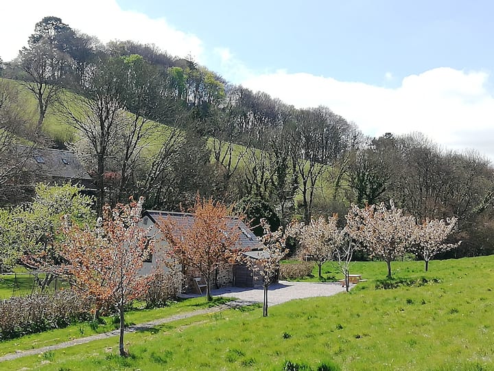 Lownard Stables Dartington Totnes - Ashburton, UK