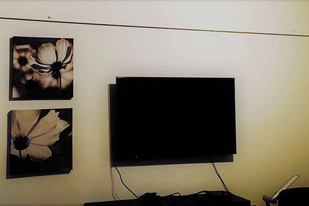 The TV in the living room