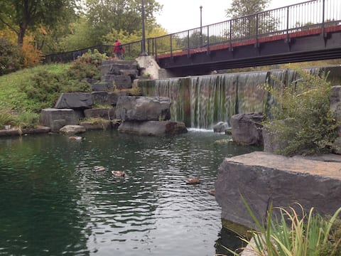 La Chute du Parc Lafontaine Plateau