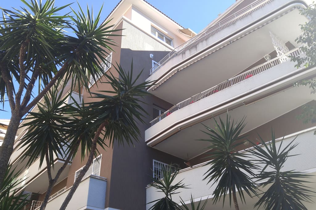 Palazzo - Building