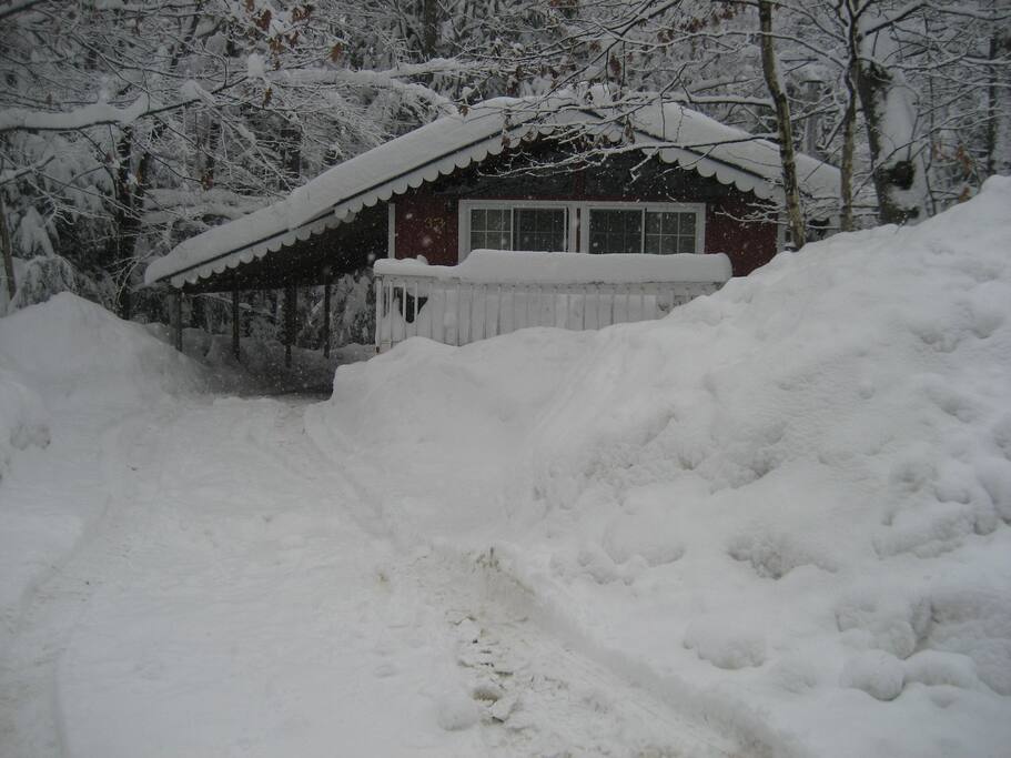 Heavy snowstorm. Awesome times