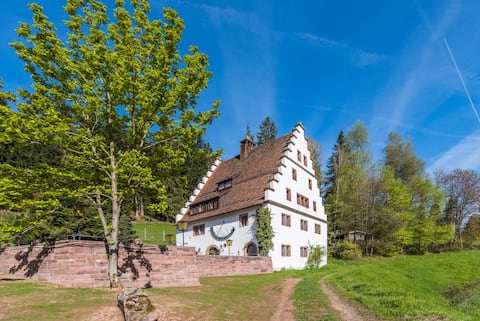 Magnificent manor house Hofgut Bärenschlössle 1 - 3500 m2 - BBQ, WiFi, historic, top equipped