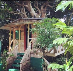 Treehouse