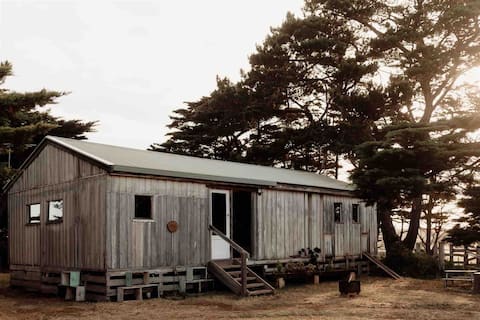 The Wülshed