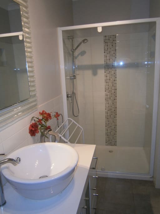 Large shower recess and vanity