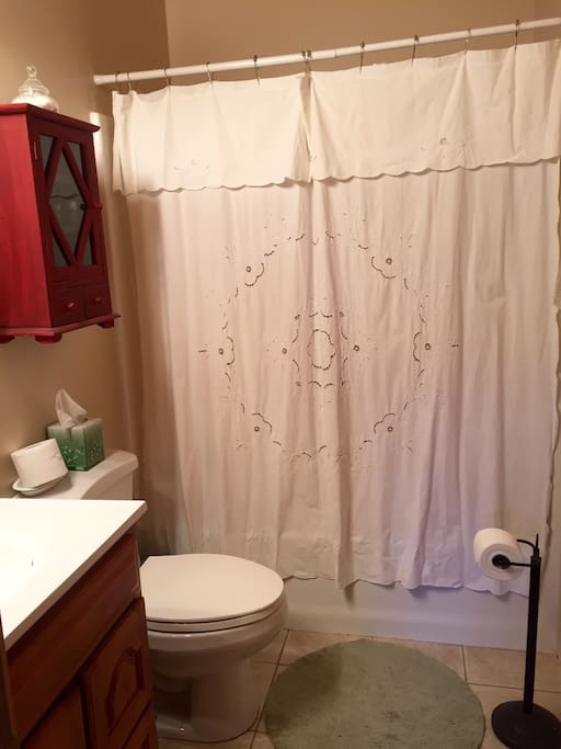 Guest bathroom