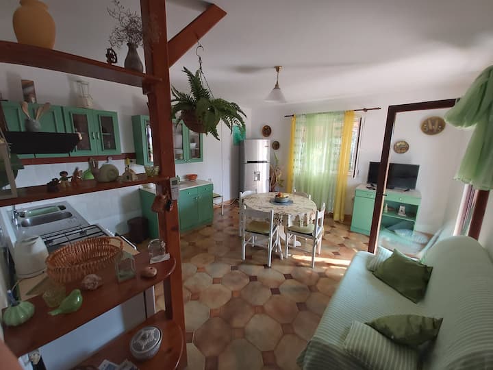Olive Grove Beach Retreat - Seafront Apartment - Lumbarda