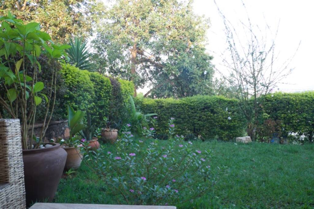 Garden with terrase and outdoor couch
