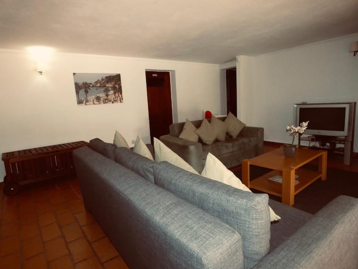 Basement living Room