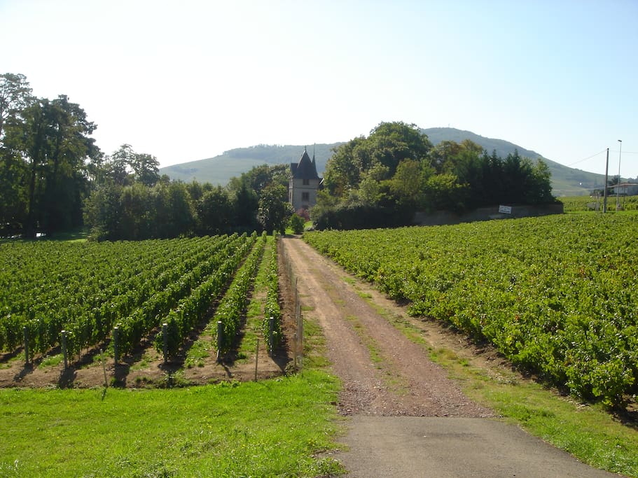 Entrée de la propriété