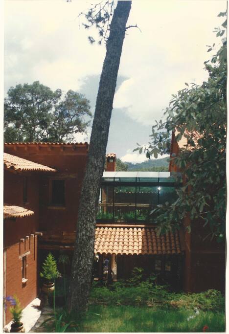 Pasillo Solarium
