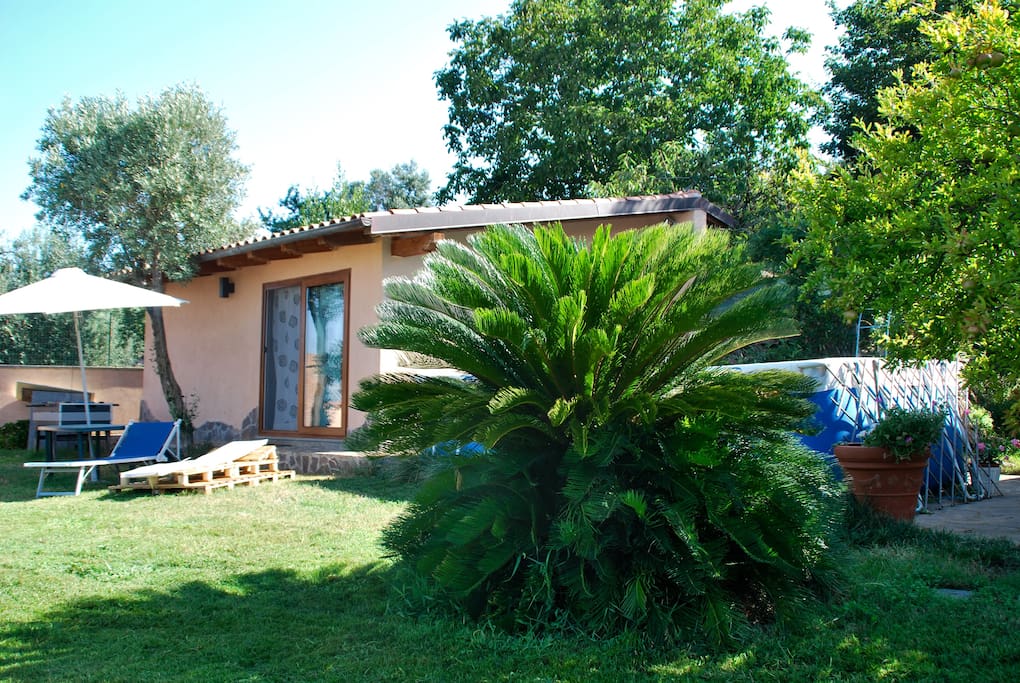 GIARDINO