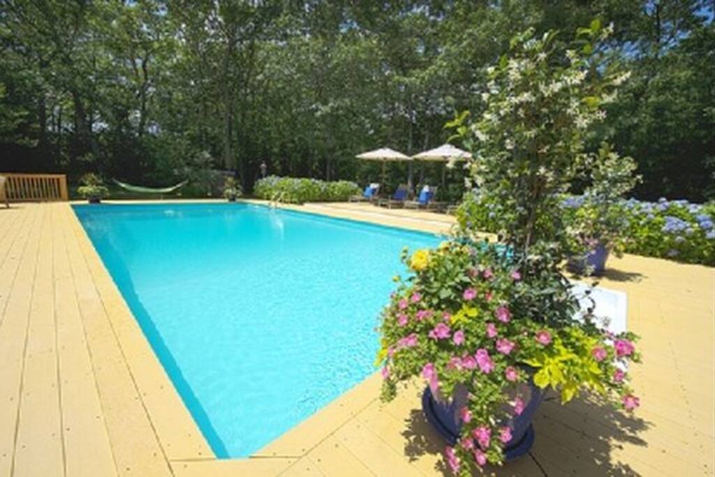 Backyard Pool