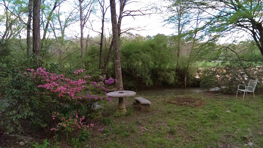 Riverside Retreat in North Georgia